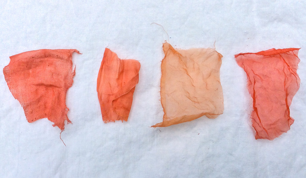 Madder Dyeing by Bind | Fold